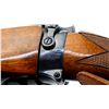 Image 7 : PARKER HALE LEE ENFIELD | Model: NO1 MKIII* Sporter | Caliber: .303 BR