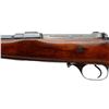 Image 6 : ROSS RIFLE | Model: 1905 Factory Sporter | Caliber: .303 ROSS (.303 BR)