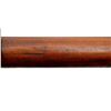 Image 23 : ITALIAN CARCANO | Model: 1891 | Caliber: 6.5 X 52 CARCANO