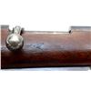 Image 11 : ITALIAN CARCANO | Model: 91 TS (Truppe Speciali) | Caliber: 6.5 X 52 CARCANO