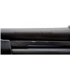 Image 9 : DOMINION ARMS | Model: Grizzly Mag | Caliber: 12 G X 2 3/4"