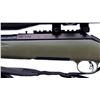 Image 6 : RUGER | Model: American | Caliber: .22-250 REM