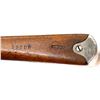 Image 16 : SWISS SCHMIDT RUBIN | Model: 1896/11 Infantry Rifle | Caliber: 7.5 X 55