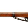 Image 9 : SWISS SCHMIDT RUBIN | Model: 1896/11 Infantry Rifle | Caliber: 7.5 X 55