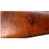 Image 11 : SWISS SCHMIDT RUBIN | Model: 1911 Carbine | Caliber: 7.5 X 55