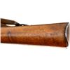 Image 17 : SWISS SCHMIDT RUBIN | Model: 1911 Carbine | Caliber: 7.5 X 55