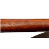 Image 25 : SWEDISH MAUSER | Model: 1896 | Caliber: 6.5 X 55