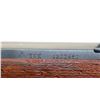 Image 8 : NORINCO | Model: SKS 56 | Caliber: 7.62 X 39