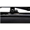 Image 9 : THOMPSON CENTER/SMITH & WESSON | Model: Compass | Caliber: .243 WIN