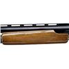 Image 10 : SKB ARMS | Model: 7900 | Caliber: 12 G X 3"