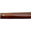 Image 18 : WINCHESTER | Model: 1895 | Caliber: .303 BR