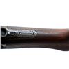 Image 12 : WINCHESTER | Model: 1907 SL First Year | Caliber: .351 WSL