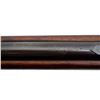 Image 14 : WINCHESTER | Model: 1907 SL First Year | Caliber: .351 WSL