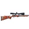 Image 2 : SAVAGE | Model: 93 | Caliber: .22 WIN MAG