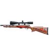 Image 5 : SAVAGE | Model: 93 | Caliber: .22 WIN MAG