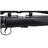 Image 3 : NORINCO | Model: JW15A | Caliber: .22 LR