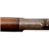Image 19 : WINCHESTER | Model: 1903 British Military Trainer | Caliber: .22 WIN AUTO