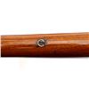 Image 16 : SAVAGE | Model: 99 | Caliber: .303 SAV