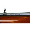 Image 9 : CIL ANSCHUTZ | Model: 300 | Caliber: .22 LR