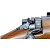 Image 9 : BRITISH ENFIELD | Model: P14 Custom | Caliber: .405 WIN