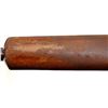 Image 15 : CIL | Model: 402 | Caliber: 16 G X 2 3/4"