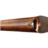 Image 12 : UNKNOWN MAUSER | Model: GEHA | Caliber: 12 G X 2 3/4"