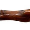 Image 10 : COOEY | Model: 60 | Caliber: .22 LR