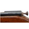 Image 8 : COOEY | Model: 60 | Caliber: .22 LR