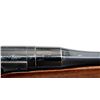 Image 11 : BRITISH ENFIELD | Model: P14 Sporter | Caliber: .303 BR