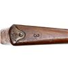 Image 11 : SWISS SCHMIDT RUBIN | Model: 1889 Sporter | Caliber: 7.5 X 53.5