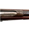Image 12 : SWISS SCHMIDT RUBIN | Model: 1889 Sporter | Caliber: 7.5 X 53.5