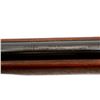 Image 7 : COOEY/WINCHESTER | Model: 75 | Caliber: .22 LR