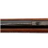 Image 8 : COOEY/WINCHESTER | Model: 75 | Caliber: .22 LR