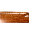 Image 10 : SAUER FRANCHI | Model: Standard | Caliber: 12 G X 2 3/4"
