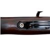 Image 11 : UNKNOWN MAUSER | Model: 98 Custom | Caliber: .30-06 SPRG