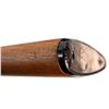 Image 9 : WINCHESTER | Model: 100 | Caliber: .308 WIN