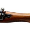 Image 9 : UNKNOWN MAUSER | Model: 98 Sporter | Caliber: .30-06 SPRG
