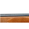 Image 9 : SAVAGE | Model: 64 | Caliber: .22 LR