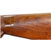 Image 7 : STEVENS | Model: Hammer Gun | Caliber: 12 G X 2 3/4"