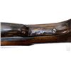 Image 17 : CHRISTOPH FUNK SUHL | Model: Side By Side | Caliber: 12 G X 2 3/4"