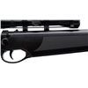 Image 4 : BEEMAN | Model: 1022LVC, Two Barrel Set | Caliber: .177 CAL PELLET/.22 CAL PELLET