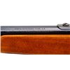 Image 8 : LAKEFIELD | Model: Mark 3 | Caliber: .22 LR