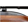 Image 7 : WINCHESTER | Model: 77 | Caliber: .22 LR