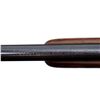 Image 10 : COOEY | Model: 64 | Caliber: .22 LR