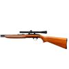 Image 5 : J.C. HIGGINS | Model: 29 | Caliber: .22 LR