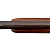 Image 11 : COOEY | Model: 39 | Caliber: .22 LR