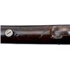 Image 12 : SAVAGE | Model: 1904 | Caliber: .22 LR