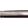 Image 12 : WHITNEY ARMS | Model: Large Frame | Caliber: .40-60 WCF