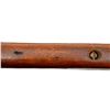 Image 11 : MARLIN | Model: 81DL | Caliber: .22 LR
