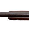 Image 9 : MARLIN | Model: 81DL | Caliber: .22 LR
